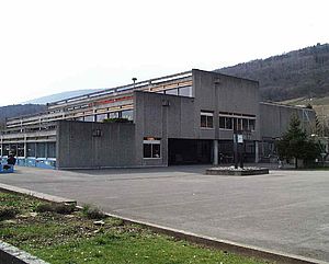 Collège de Cressier